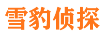 泰来侦探公司